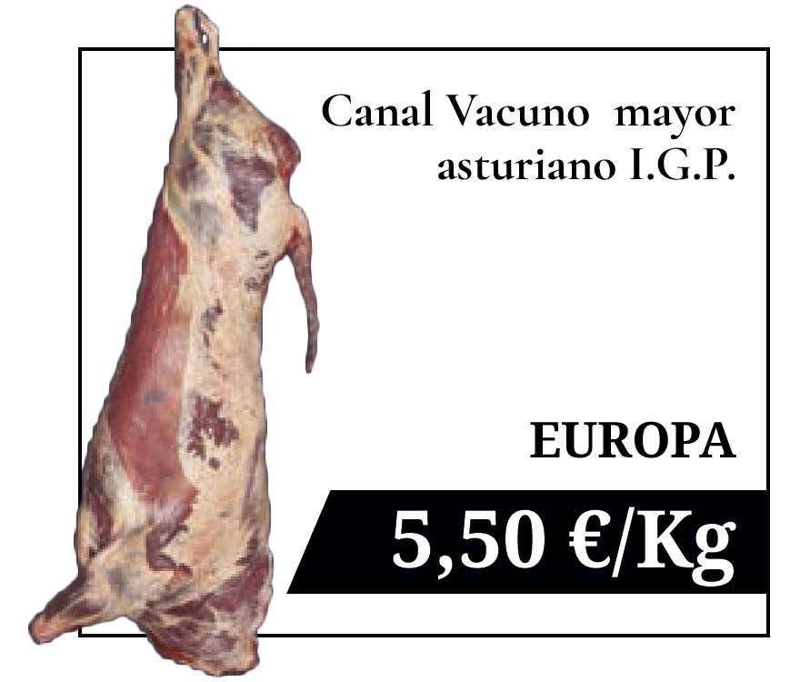 Canal Vacuno mayor 5,50 €/Kg